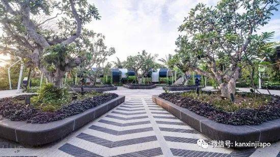 【下周活动】新加坡动物园门票75折+5新币餐券!A&F清仓半价