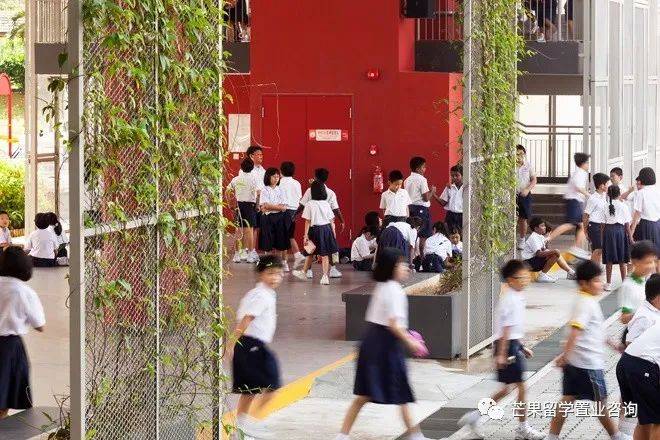 新加坡教育之政府学校《2》