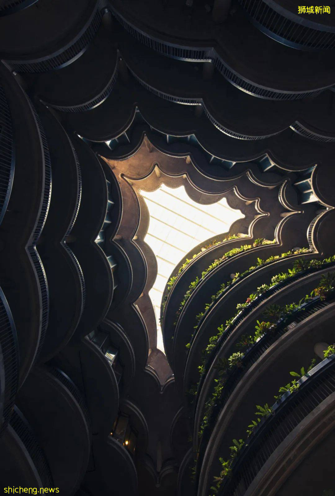 魅力獅城，不容錯過的十大獨特體驗