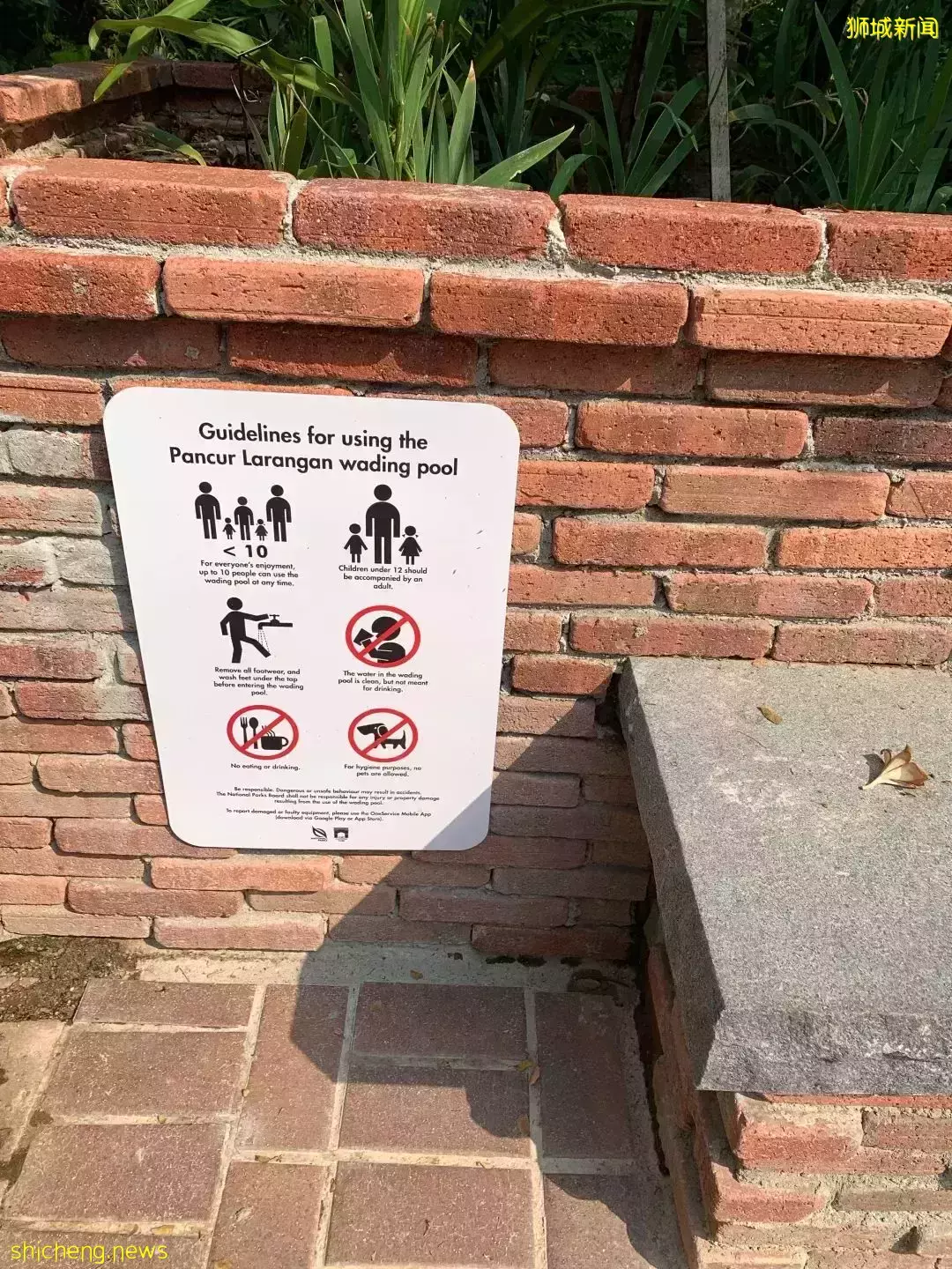 INS最火爆的新加坡公園,竟然還藏著一個超好玩的兒童遊樂場