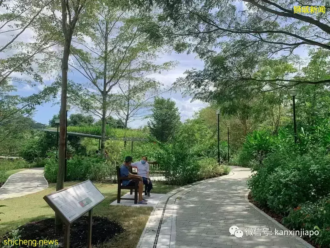 【下周活動】Collin’s半價、喜茶降價、買刷頭送電動牙刷