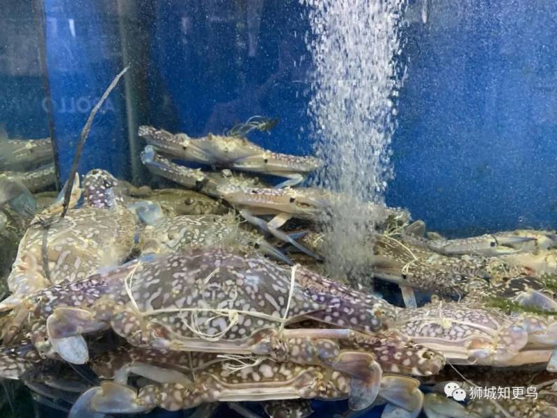 新加坡海鲜市场大盘点