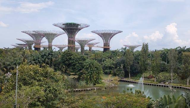 与新加坡有关的记忆，从发现隐秘世界开始