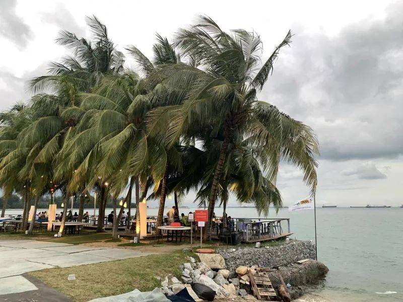 新加坡国内游走起!日出到日落 东海岸撒网