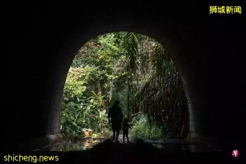 2030年,新加坡人人走路10分钟就能到公园?先去感受一下