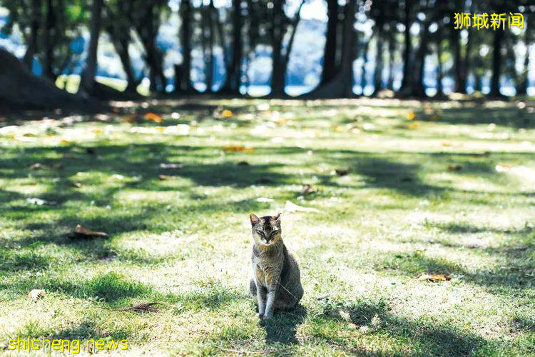 新加坡的這7個小衆島嶼你還沒有去過嗎