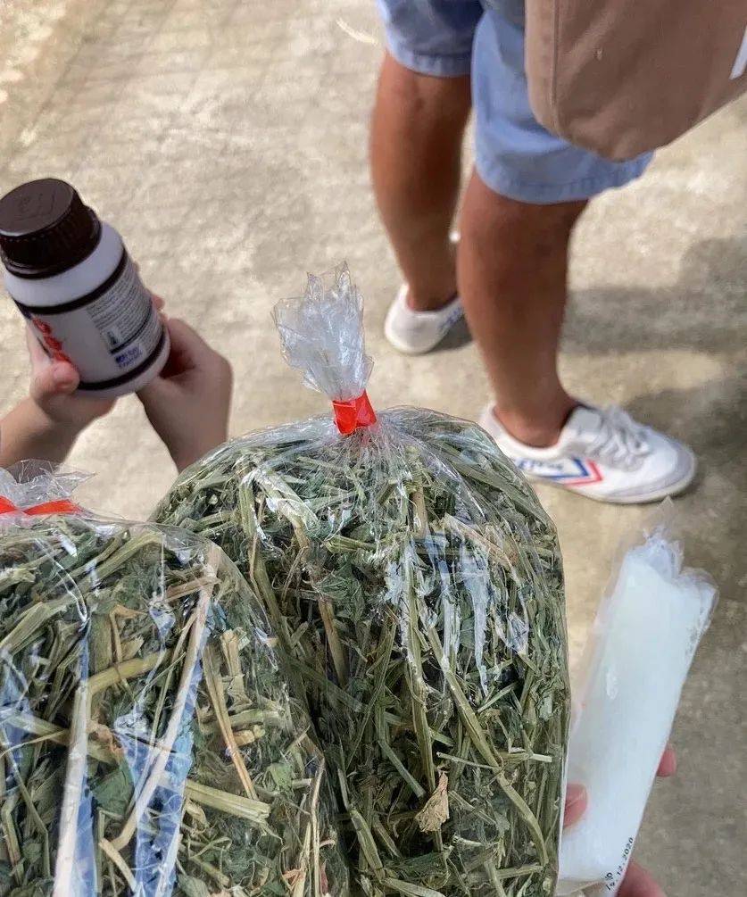 新加坡有機農場牧場？還能和羊咩咩親密接觸