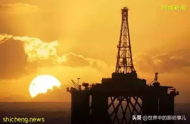 金龍魚、凱德集團竟然是新加坡公司?新加坡還有哪些産品在中國