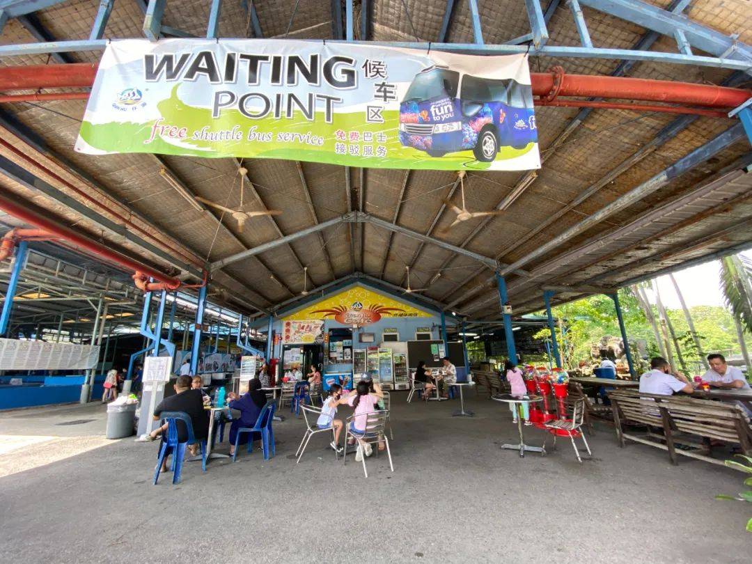 餵羊、擠奶、了解青蛙生長過程,新加坡的農場這麽牛