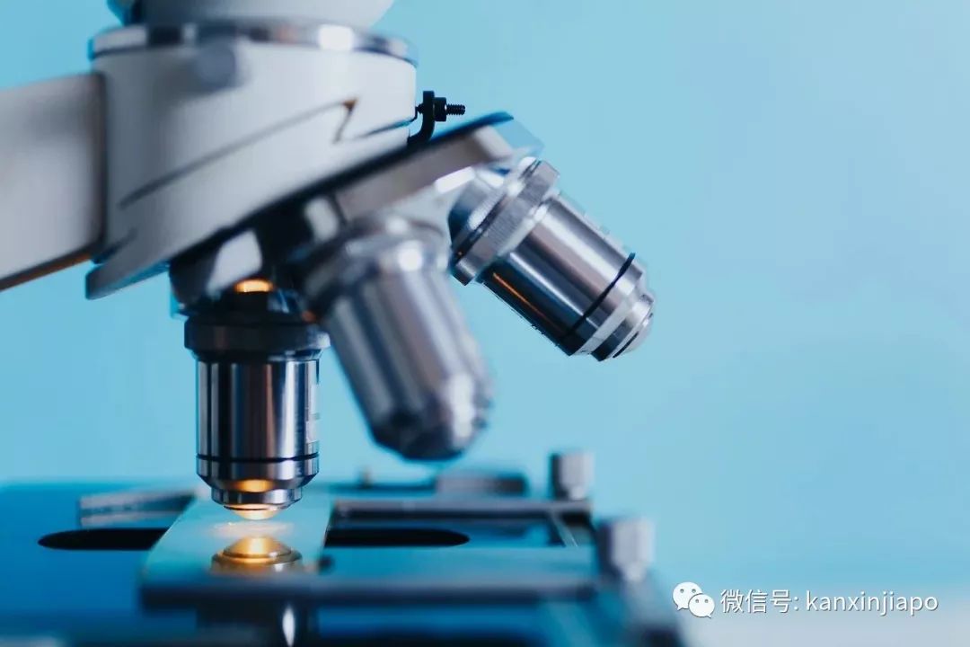 英雄决战岂止在疆场？新加坡抗击SARS的惨痛回忆