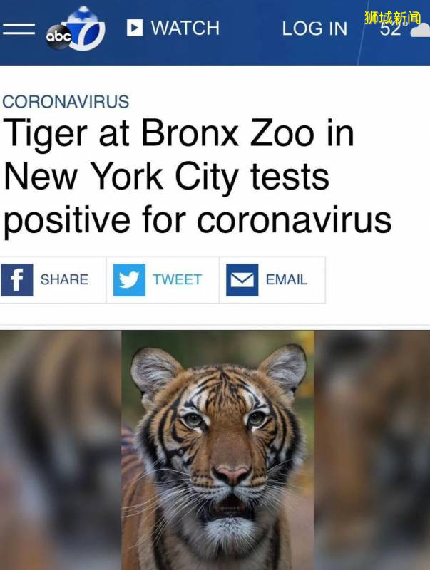 疫情下全世界动物园经营困难,新加坡Zoo开启“微赞助”模式