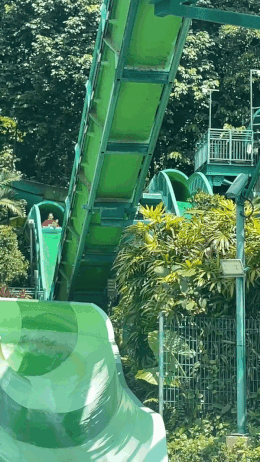 新加坡娃最爱的水上乐园重开!冲浪、水滑道、漂流,还能和鱼儿嬉戏