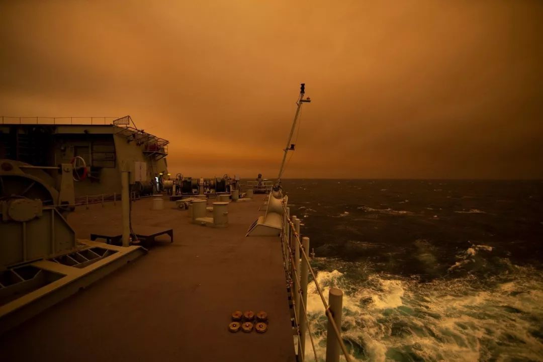 澳洲林火肆虐5亿动物惨死，新加坡国防部派空军援助