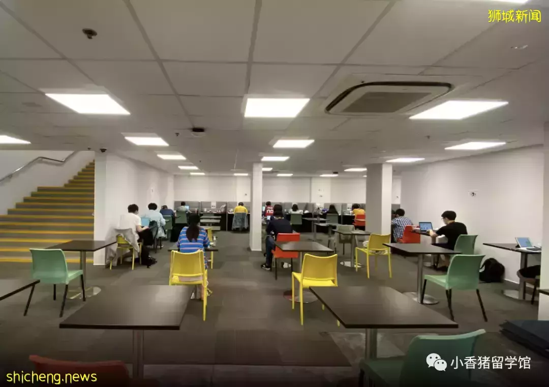 新加坡留學校內住宿：如何get限量版好房