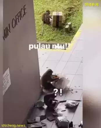 南大的朋友们你们还好么?快去看看你们的快递吧,猴子帮你拆快递了