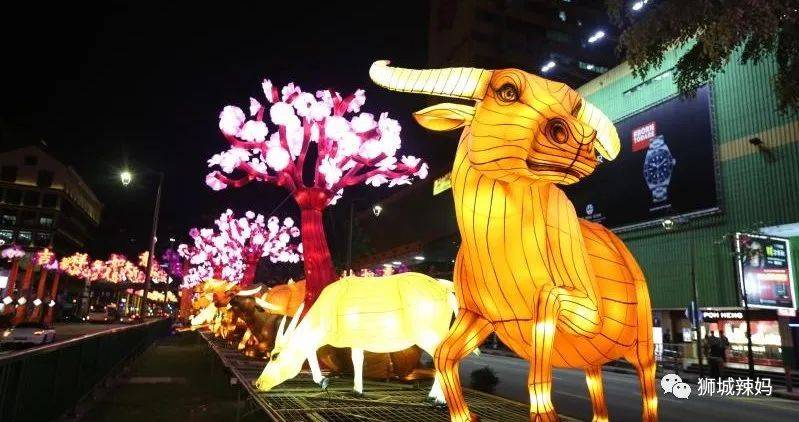新加坡這些地方春節亮燈，美過牛車水！第4個像後宮庭院