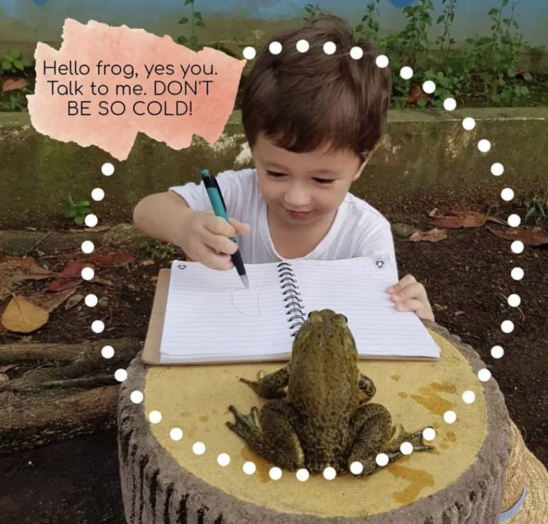 周末去哪兒玩？新加坡休閑動物農場了解一下