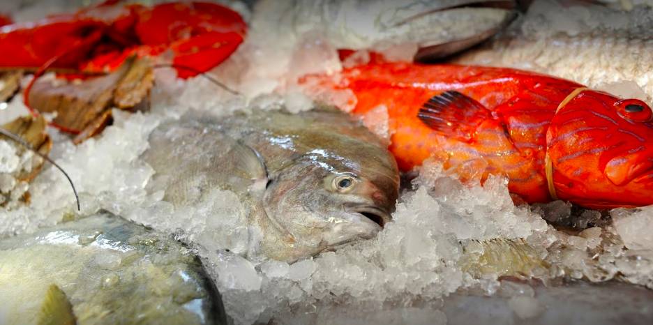 春節將至，新加坡有哪些地方可以置辦年貨？一起來看看吧