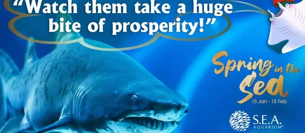 【收藏貼】新加坡一月適合溜娃的活動看這裏