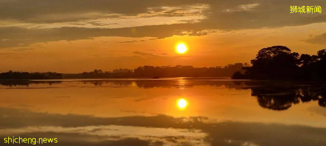 新加坡“遇襲”圖片遭瘋傳，驚現末日場景！魚尾獅斷頭、大樓被腰斬、市中心傾塌成廢墟