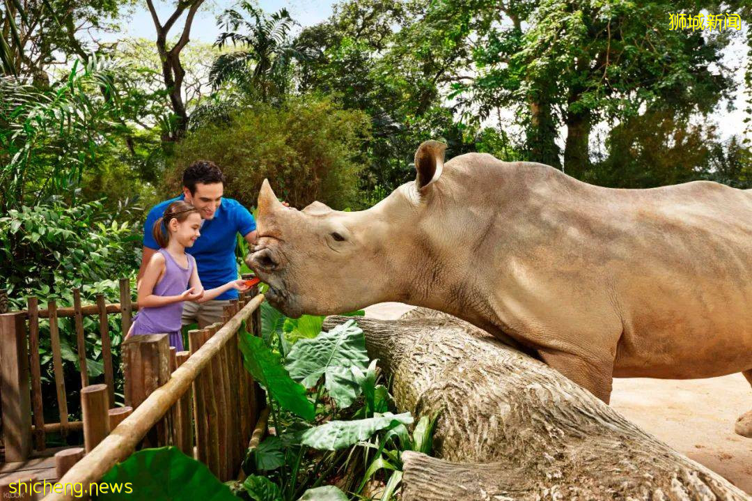 科小文獅城遊記之—新加坡動物園