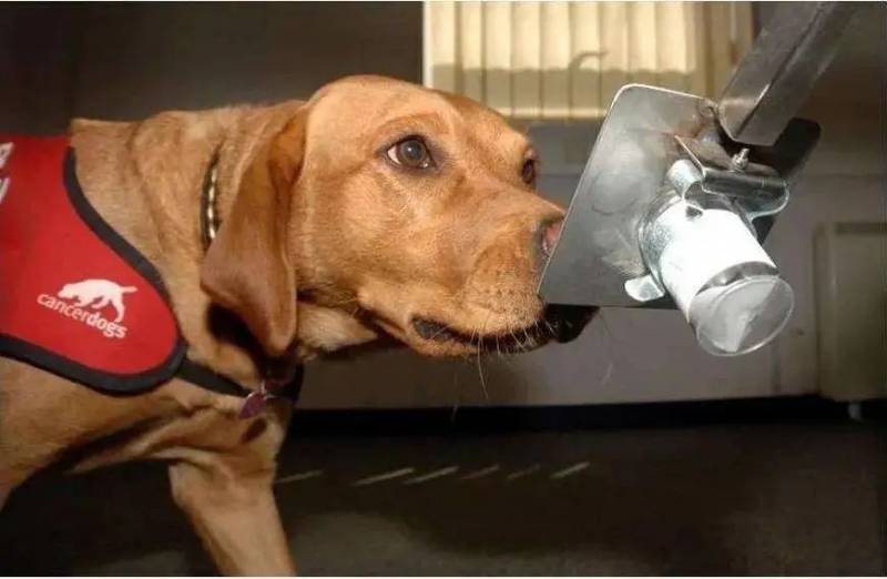 NUS博士研發60秒呼吸檢測病毒技術，新冠檢測“黑科技”大盤點