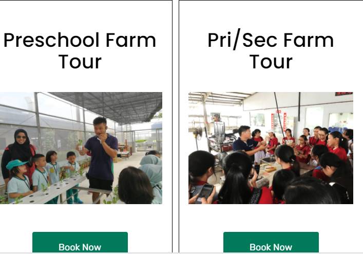 種水稻，摘蘑菇，新鮮蘆荟飲品！藏在新加坡的7大蔬菜農場我找到啦