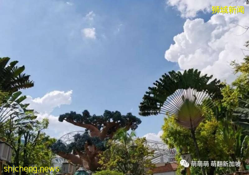 新加坡環球影城全攻略