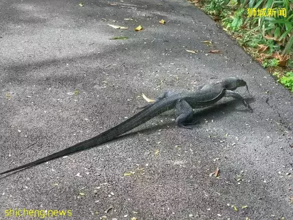 還沒安排4天長假？亞洲最大兒童花園，免費還無需預約