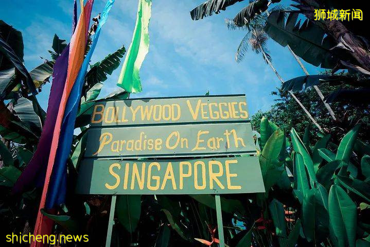 【旅遊資訊】世界知名的小紅點等你來打卡！新加坡放寬旅遊限制