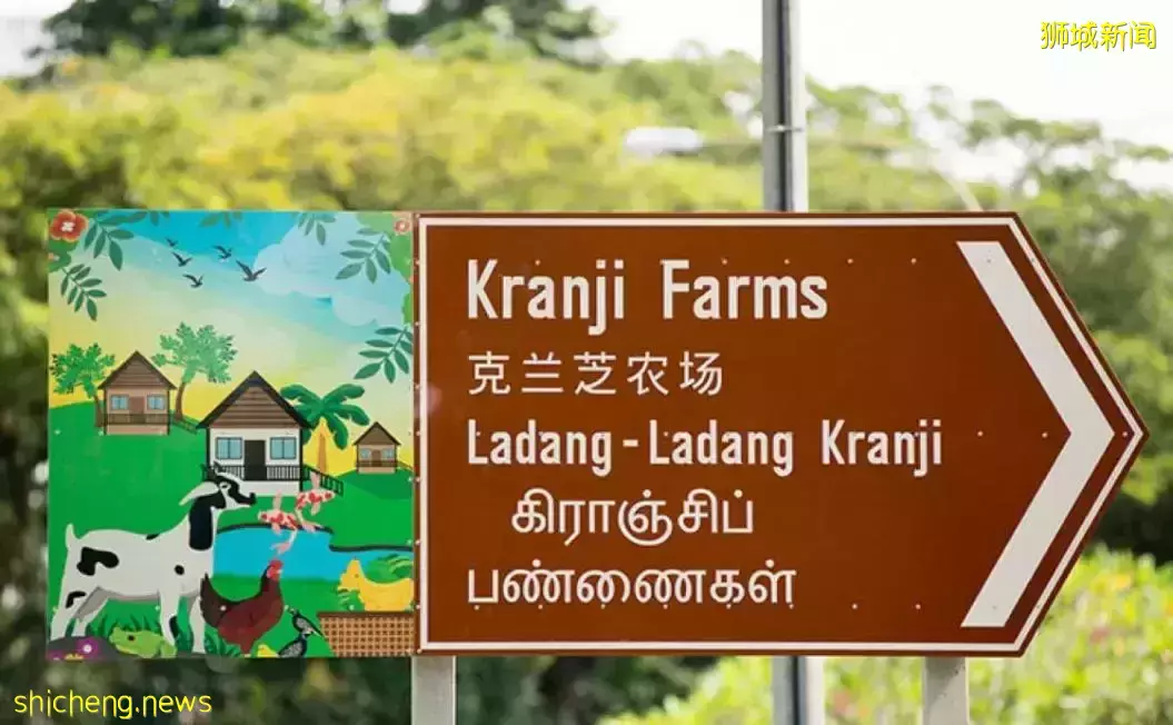 《即刻隨心所想，心想獅城》新加坡生態遊系列2