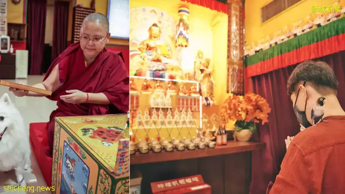 让家中宠物也能获祝福 大乘禅寺办首场宠物祈福夜