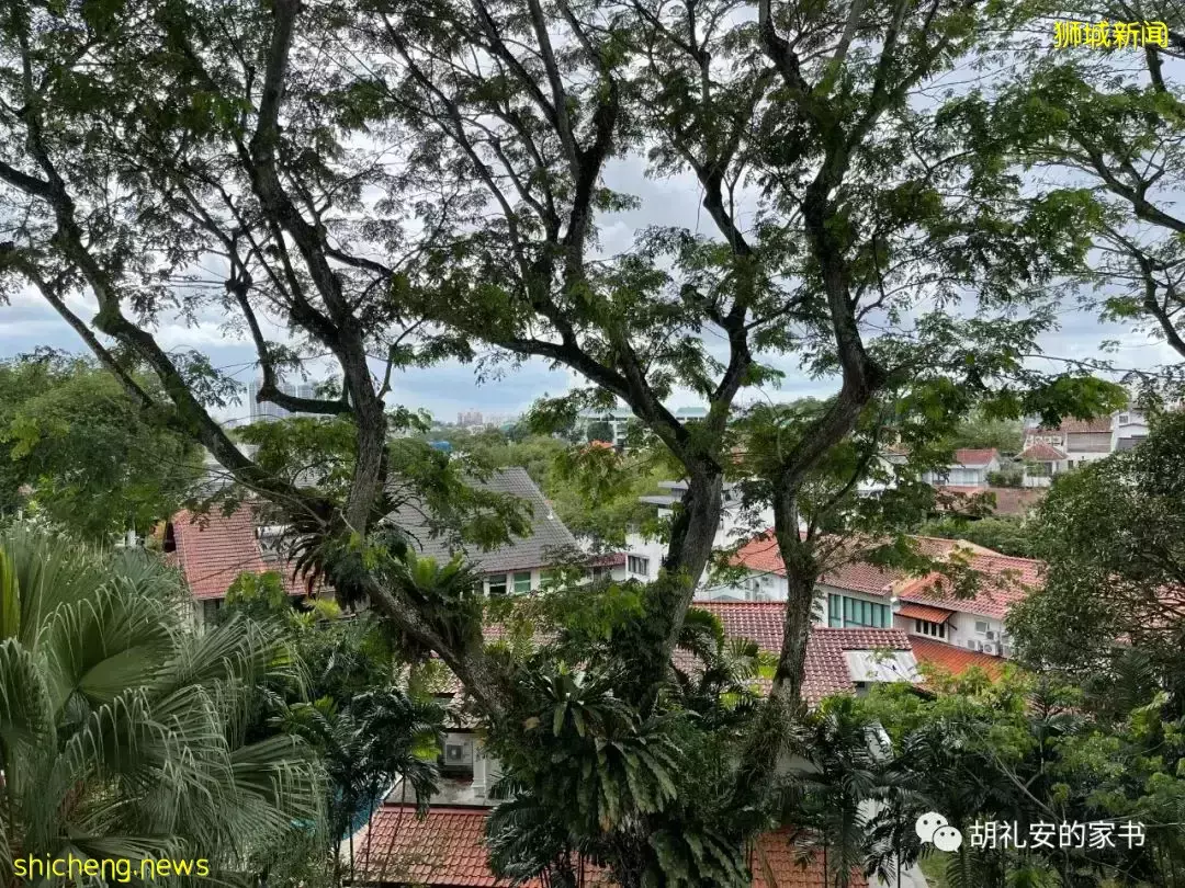 亲身经历:疫情下的出差,通过VTL航班无需隔离前往首尔