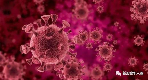 新加坡多个废水中验出新冠病毒碎片!将扩大110个地点采样检测