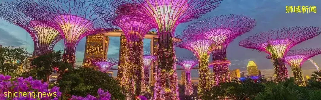 让“碳中和”城市化？亚洲最绿色城市是这么做的