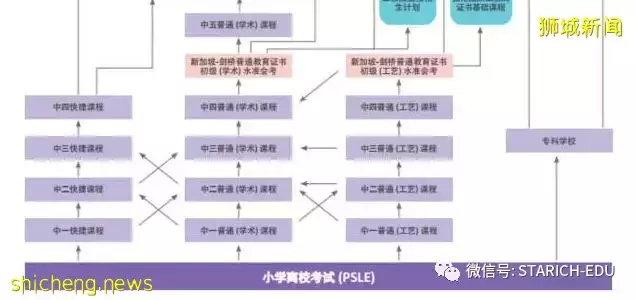 新加坡主流教育最全教育升学体制全解!点击收藏