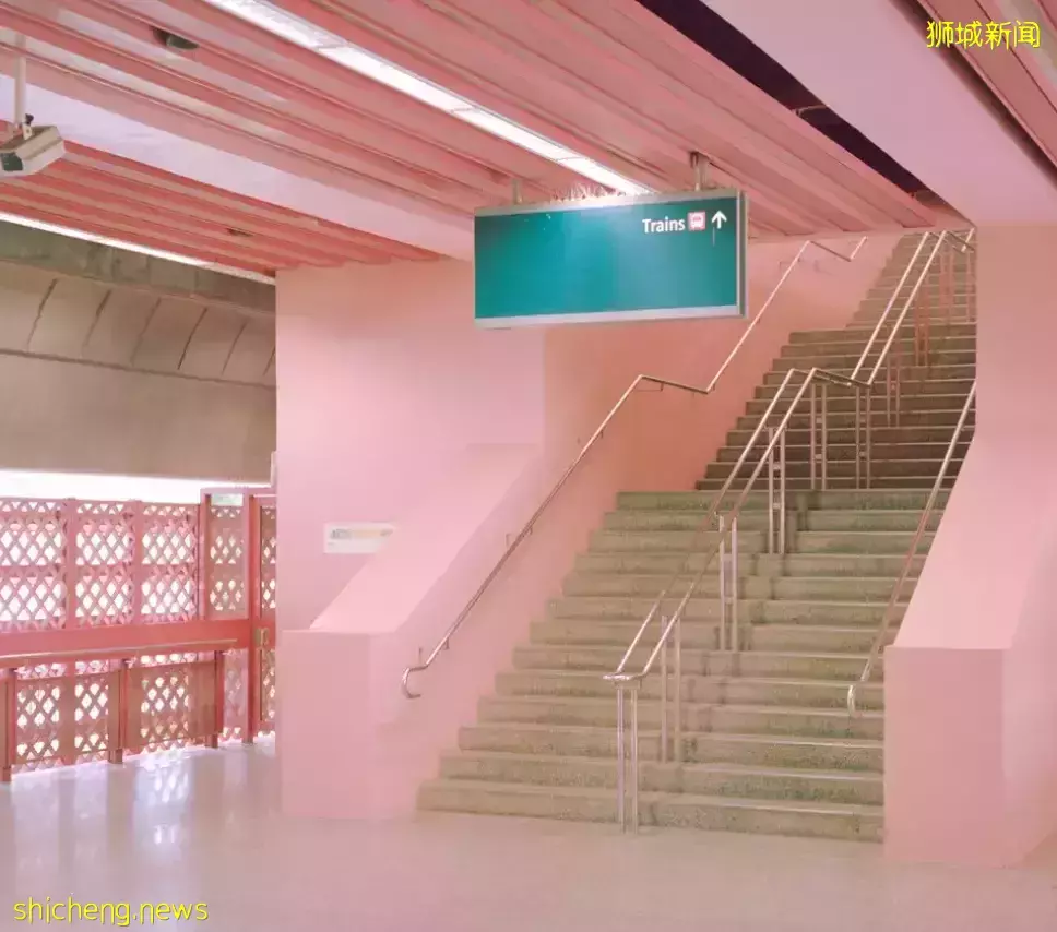 几十张图带你了解别样的新加坡