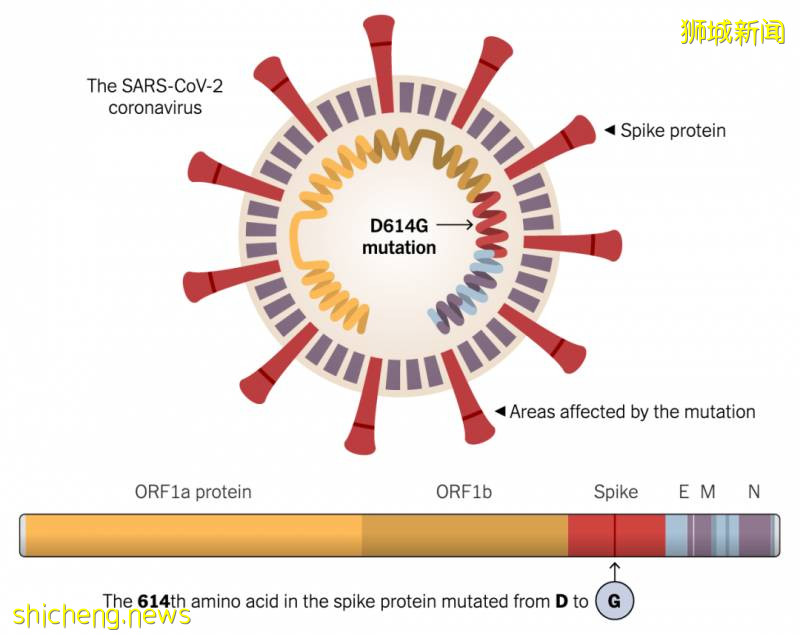 世界多國發現新冠變異陷恐慌!新加坡發表一份研究成果,引發全球矚目