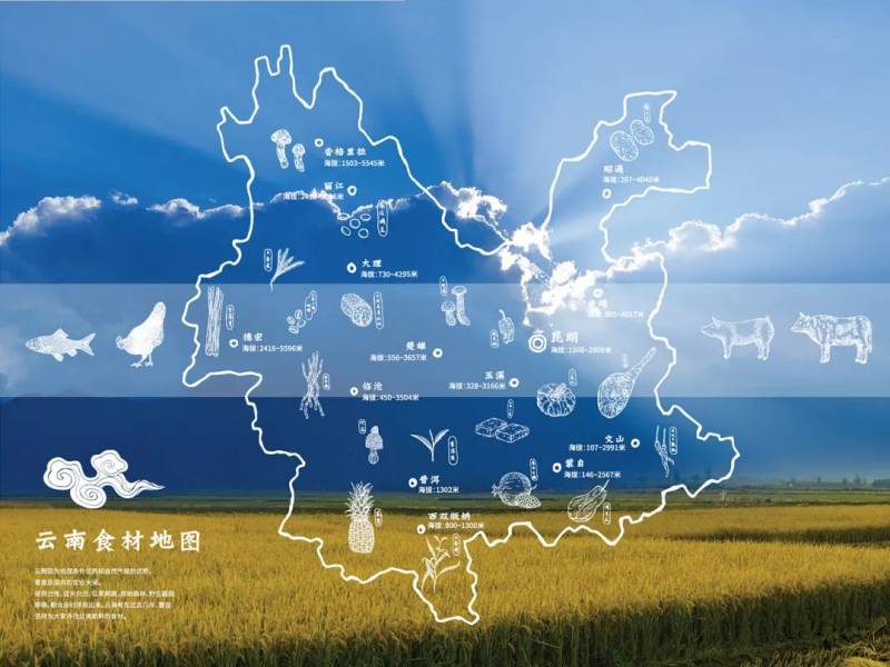 “雲之海，味之道”在獅城品味雲南味道，還原高原料理