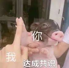 《神奇動物在哪裏之 NTU 篇》