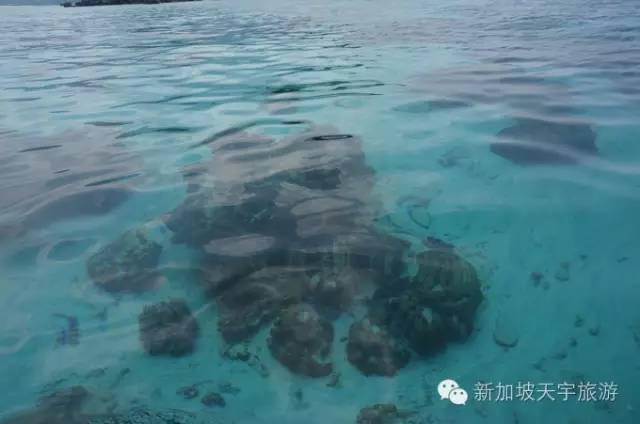 【泰国】时光正好 | 2020年的假期，开启一段前往【东方小马代】丽贝岛的悠然假期~