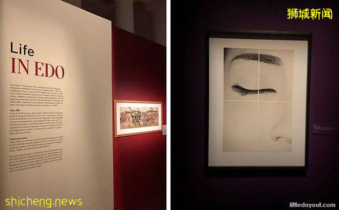 新加坡七/八月看展指南!周末假期好去处