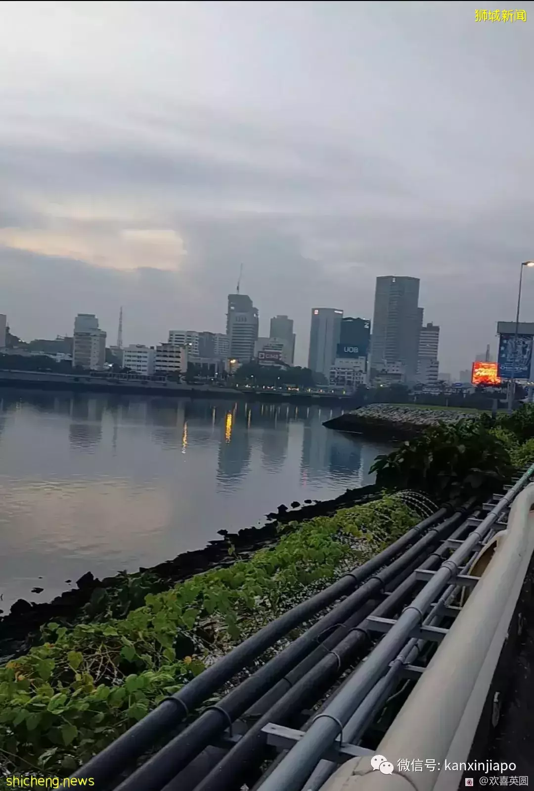 “我是这样从新加坡走到马来西亚的”,出入境最新攻略