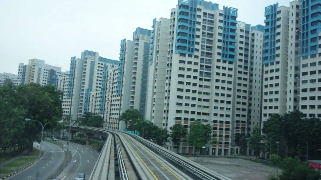 中國女留學生討薪被掌掴、踢飛！唐人街爆發抗議遊行！新加坡也有這種事嗎