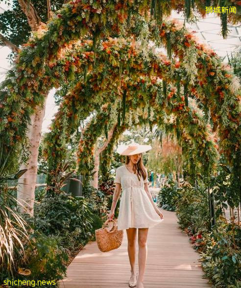 解封後回歸社交生活，有哪些好玩的活動和地點值得一逛？一起來看看吧