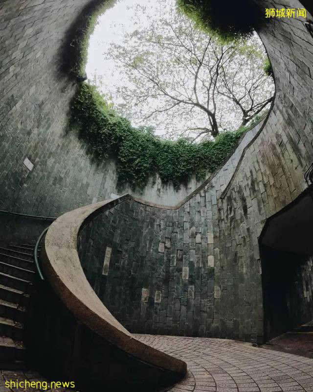 新加坡生活成本太高?一定是你打開的方式不對!