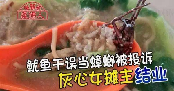 本地食客在餐厅汤品内吃到蟑螂!网友:汤的颜色看起来就不对劲