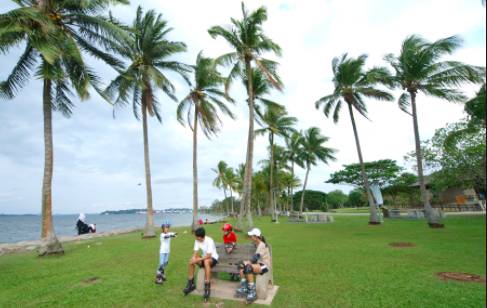 玩在獅城 周末一起去大自然裏野餐——新加坡最適合野餐的十大自然公園