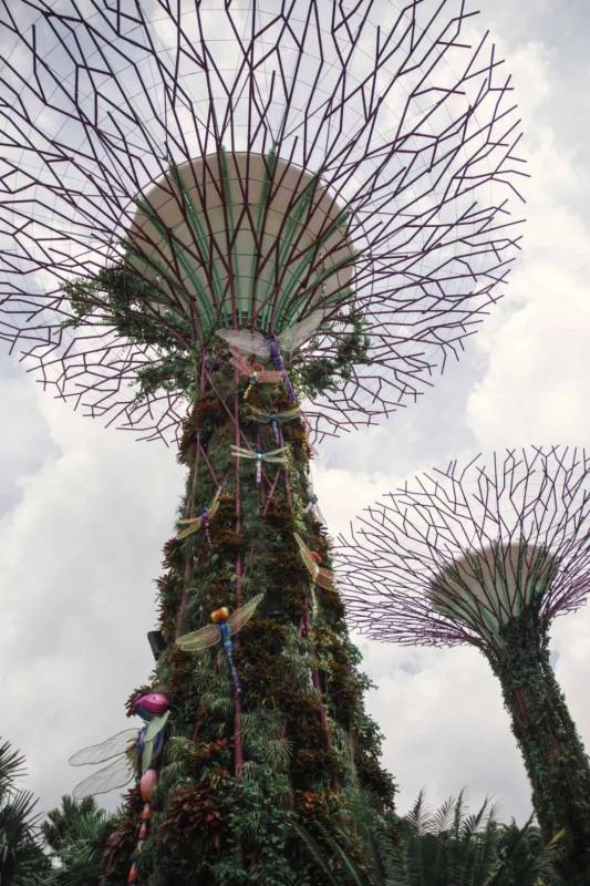 新加坡有一個空中花園,這有你想不到的都市仙境