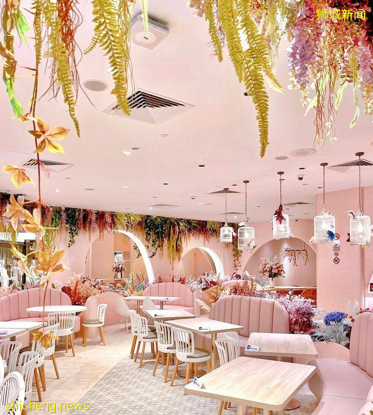 乌节路新花卉咖啡馆💐粉色装潢、花花围绕,置身Café Q Classified的梦幻世界